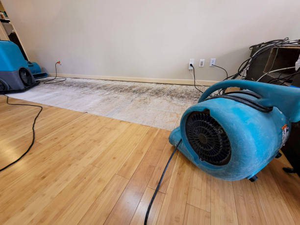 Professional Water Extraction technician working in Studio City, CA